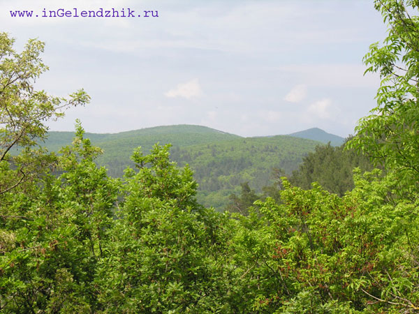 2008 May. Korolenko’s summer cottage, mountains.